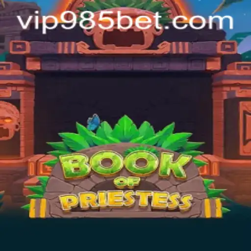 Explorando o Universo de BookOfPriestess
